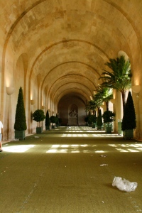 Inside the Orangerie at Versailles 